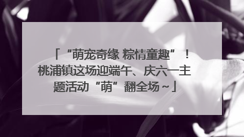 “萌宠奇缘 粽情童趣”！桃浦镇这场迎端午、庆六一主题活动“萌”翻全场～