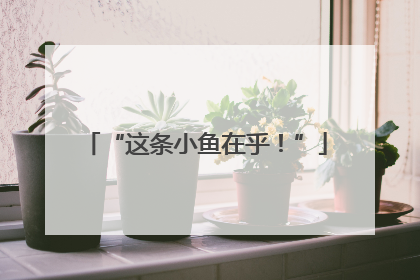 “这条小鱼在乎！”
