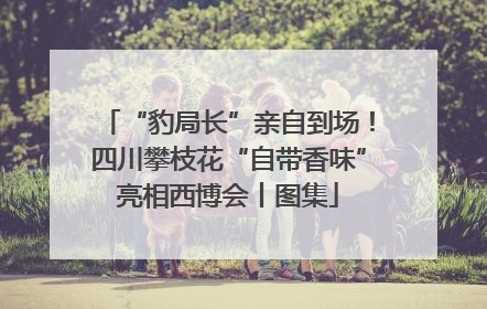 “豹局长”亲自到场！四川攀枝花“自带香味”亮相西博会丨图集