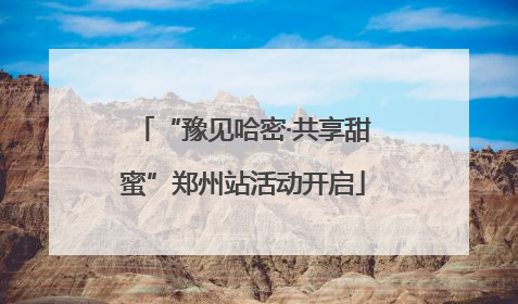 “豫见哈密·共享甜蜜”郑州站活动开启