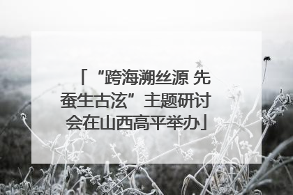 “跨海溯丝源 先蚕生古泫”主题研讨会在山西高平举办