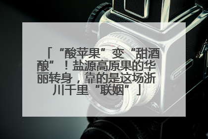 “酸苹果”变“甜酒酿”！盐源高原果的华丽转身，靠的是这场浙川千里“联姻”