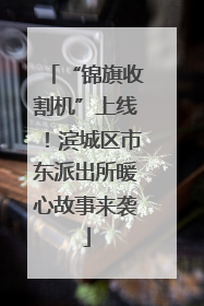 “锦旗收割机”上线！滨城区市东派出所暖心故事来袭