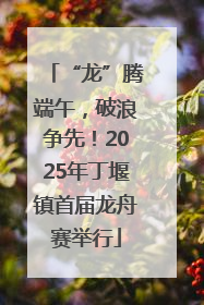 “龙”腾端午，破浪争先！2025年丁堰镇首届龙舟赛举行