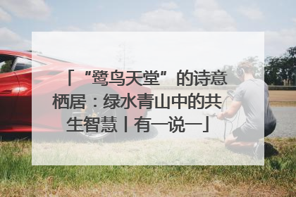“鹭鸟天堂”的诗意栖居：绿水青山中的共生智慧丨有一说一