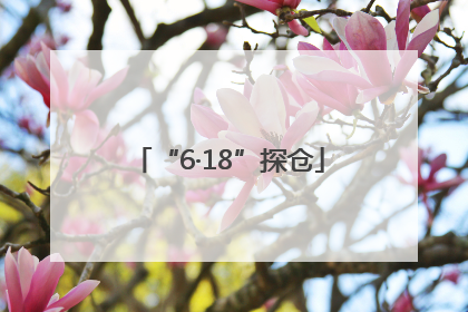 “6·18”探仓