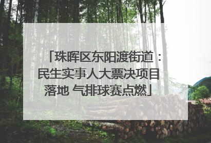 珠晖区东阳渡街道：民生实事人大票决项目落地 气排球赛点燃