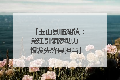 玉山县临湖镇：党建引领添助力 银发先锋展担当