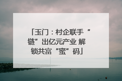 玉门：村企联手“链”出亿元产业 解锁共富“蜜”码
