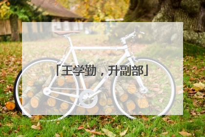 王学勤，升副部