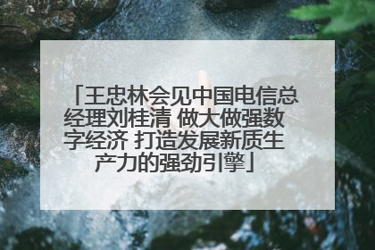 王忠林会见中国电信总经理刘桂清 做大做强数字经济 打造发展新质生产力的强劲引擎