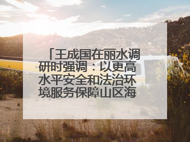 王成国在丽水调研时强调：以更高水平安全和法治环境服务保障山区海岛县高质量发展