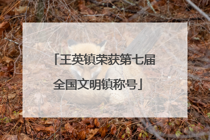 王英镇荣获第七届全国文明镇称号