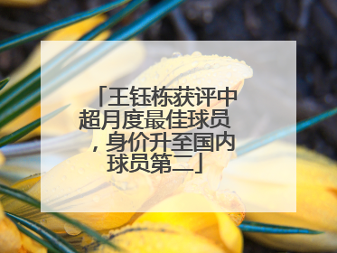 王钰栋获评中超月度最佳球员，身价升至国内球员第二