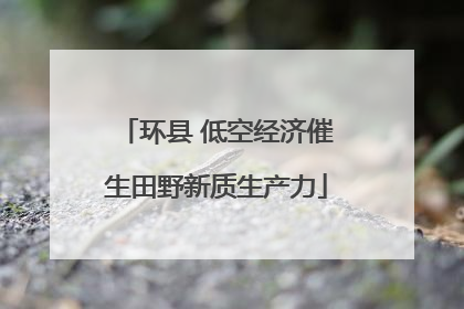 环县 低空经济催生田野新质生产力
