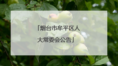 烟台市牟平区人大常委会公告