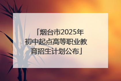 烟台市2025年初中起点高等职业教育招生计划公布