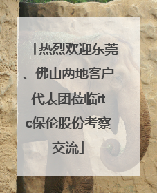 热烈欢迎东莞、佛山两地客户代表团莅临itc保伦股份考察交流