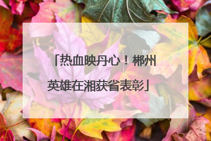 热血映丹心！郴州英雄在湘获省表彰