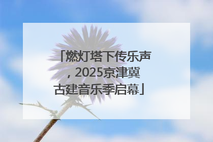 燃灯塔下传乐声，2025京津冀古建音乐季启幕