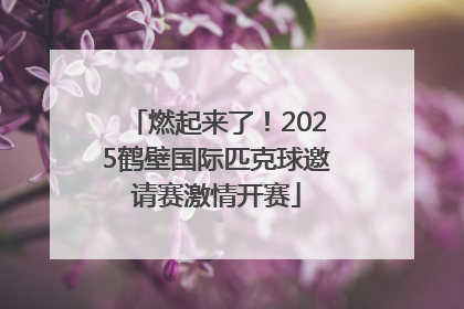 燃起来了！2025鹤壁国际匹克球邀请赛激情开赛