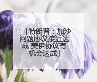 特朗普：加沙问题协议接近达成 美伊协议有机会达成