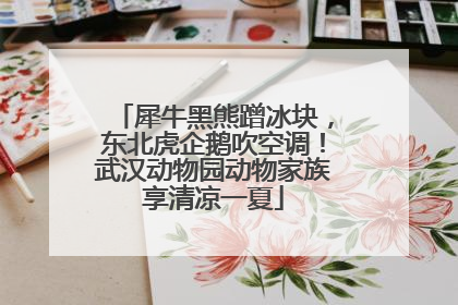 犀牛黑熊蹭冰块，东北虎企鹅吹空调！武汉动物园动物家族享清凉一夏