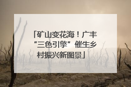 矿山变花海！广丰“三色引擎”催生乡村振兴新图景