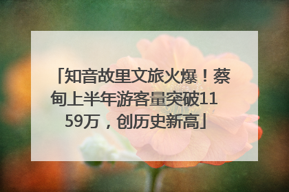 知音故里文旅火爆！蔡甸上半年游客量突破1159万，创历史新高