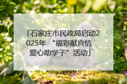 石家庄市民政局启动2025年 “福彩献真情 爱心助学子”活动
