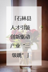 石林县人才引领创新驱动产业“三级跳”