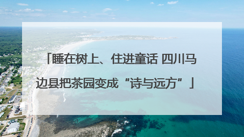 睡在树上、住进童话 四川马边县把茶园变成“诗与远方”