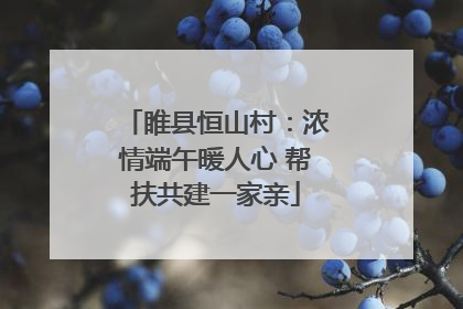 睢县恒山村：浓情端午暖人心 帮扶共建一家亲