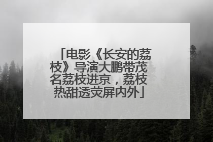 电影《长安的荔枝》导演大鹏带茂名荔枝进京，荔枝热甜透荧屏内外