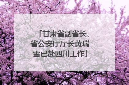 甘肃省副省长、省公安厅厅长黄瑞雪已赴四川工作