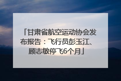 甘肃省航空运动协会发布报告：飞行员彭玉江、顾志敏停飞6个月