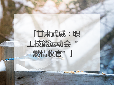 甘肃武威：职工技能运动会“燃情收官”