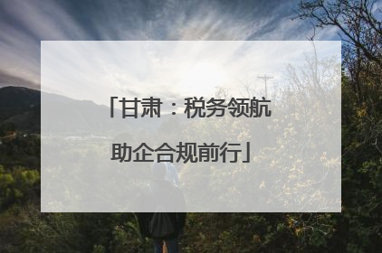 甘肃：税务领航 助企合规前行