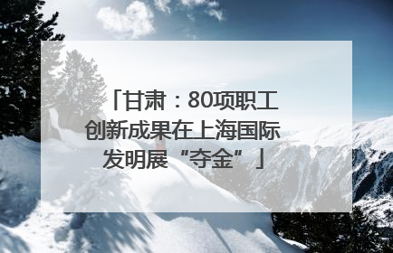 甘肃：80项职工创新成果在上海国际发明展“夺金”