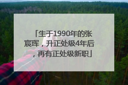 生于1990年的张宸珲，升正处级4年后，再有正处级新职
