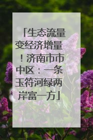 生态流量变经济增量！济南市市中区：一条玉符河绿两岸富一方