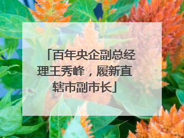 百年央企副总经理王秀峰，履新直辖市副市长