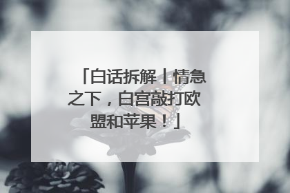 白话拆解丨情急之下，白宫敲打欧盟和苹果！