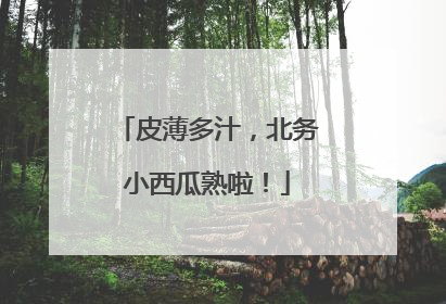 皮薄多汁，北务小西瓜熟啦！