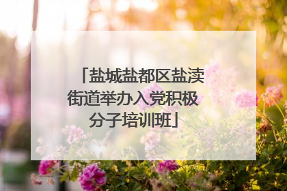 盐城盐都区盐渎街道举办入党积极分子培训班
