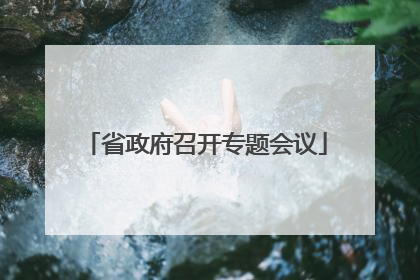 省政府召开专题会议