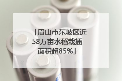 眉山市东坡区近58万亩水稻栽插面积超85%