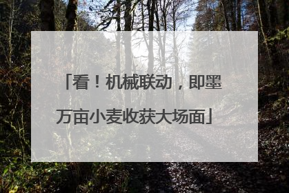 看！机械联动，即墨万亩小麦收获大场面