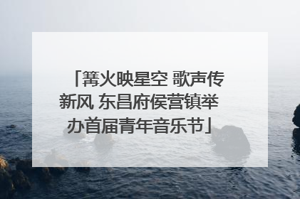 篝火映星空 歌声传新风 东昌府侯营镇举办首届青年音乐节