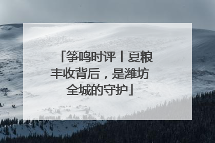 筝鸣时评丨夏粮丰收背后，是潍坊全城的守护